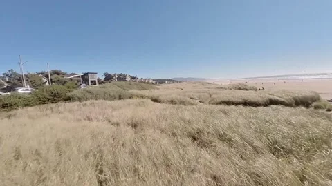 Oregon coast dune grass fast aerial flyover on a sunny cloudless day 動画素材 219367779