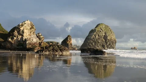Oregon Coast In Evening Light Vídeos de archivo 70626206