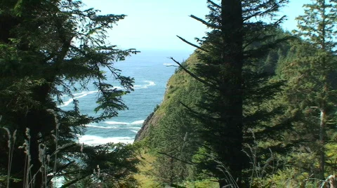 Oregon Coast 库存影片 611383