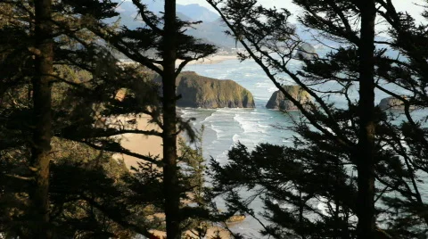 Oregon Coast 스톡 동영상 713122