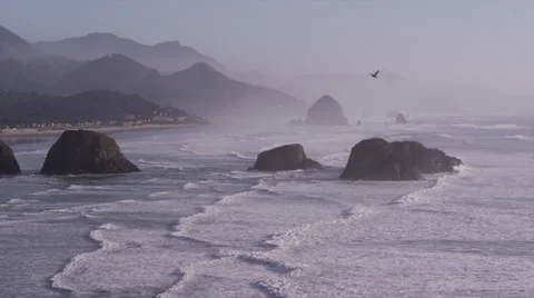 Oregon Coast Video stock 36514966