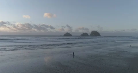 Oregon coast Stock Footage 88608066