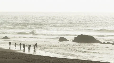 Oregon Coast High Tide Group Stock Footage 68024251