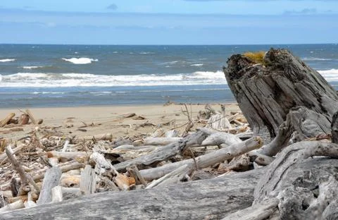 Oregon coast Stock Photos