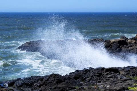 At the Oregon Coast Foto stock
