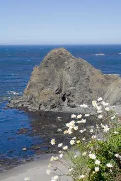 Oregon Coast Stock Photos