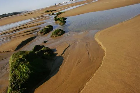 Oregon Coast Stock Photos