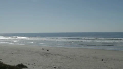 Oregon Coast Sandy Beach Video stock 12364831