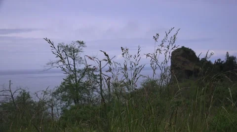 Oregon Coast sea mount through grass Stock Footage 50320762
