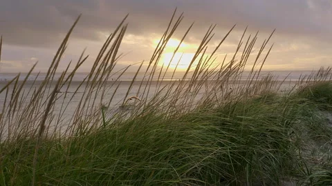 Oregon Coast - Seaside Oregon Stock Footage 140070646