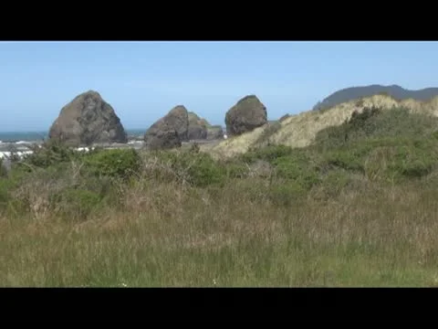 Oregon Coast in Spring with Wind 스톡 동영상 11226640
