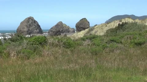 Oregon Coast in Spring with Wind 스톡 동영상 11230569