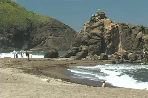 Oregon Coast surf 库存影片 306479