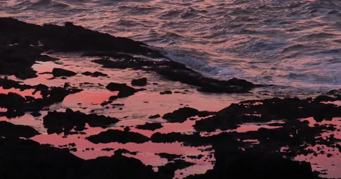 Oregon Coast Tide Pools Stock Footage 40851870