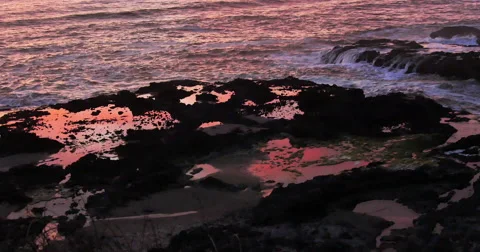 Oregon Coast Tide Pools Stock Footage 40851915