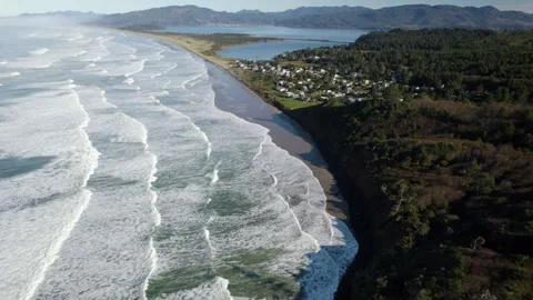 Oregon Coast Trees Decreasing Altitude 库存影片 263247967