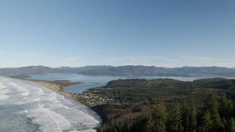 Oregon Coast Trees Flyover 2 Stock-Footage 263247974