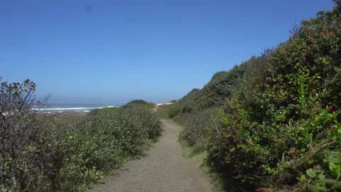 Oregon Coast Walking Path with Waves on Left Video stock 130934927