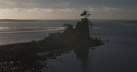 Oregon coastal lagoon Vidéo 71286860