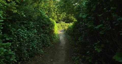 Oregon Coastal Path Walk Stock Footage 162786910