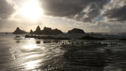 Oregon Coastal Scene Stock-Footage 70623468