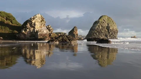 Oregon Coastline in Evening Light Stock-Footage 73233260