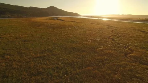 Oregon Coastline Sunset Aerial Shot Stock Footage