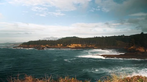 Oregon Coastline with waves rolling in 库存影片 102416507
