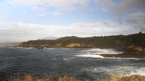 Oregon Coastline with waves rolling in Uncolored 库存影片 102416491