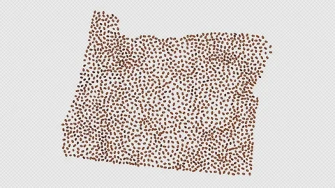 Oregon Coffee Beans Stock Footage 147906188