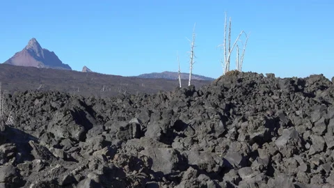 Oregon dead trees and lava with peak pan left Stock Footage 133370503