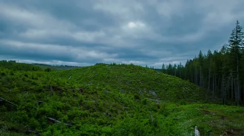 Oregon Deforestation 581 4K Stock Footage 40972605