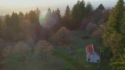 Oregon Fall Colors via Drone Shot Stock Footage 200089651