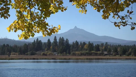 Oregon falling birch leaves and Mt Washington Stock-Footage 133374009