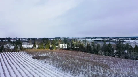 Oregon Farmland - During Winter Stock Footage 167865553