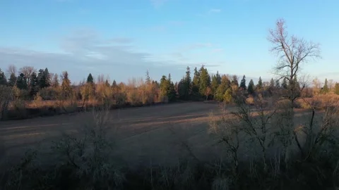 Oregon Farmland Stock Footage 131135840
