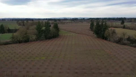 Oregon Farmland Stock Footage 131136259