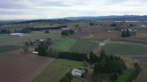 Oregon Farmland Stock Footage 131136372