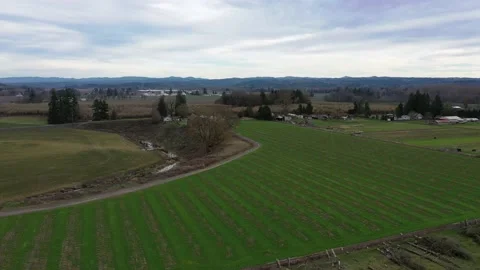 Oregon Farmland Stock Footage 131136641
