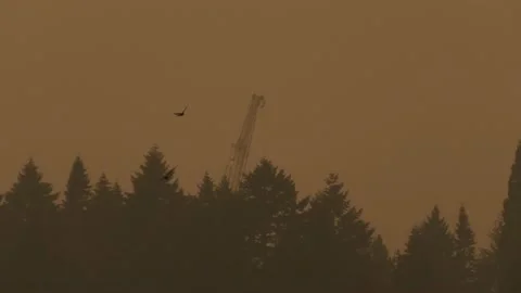 Oregon Fires Crane 動画素材 150472950