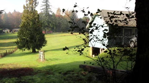 Oregon Foliage and scenery Stock Footage 62199802