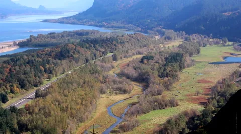 Oregon Foliage and scenery Stock Footage 62199826
