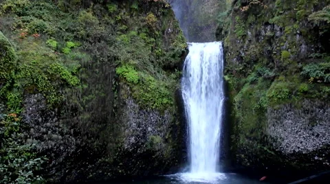 Oregon Foliage and scenery Stock Footage 62200165