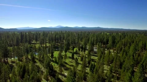 Oregon Forest and Mountains Under Blue Sky by Aerial Drone Video stock 65765861
