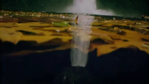 Oregon Forest Stock Footage 200850058