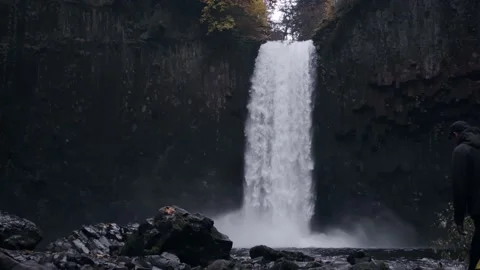 Oregon Forest Video stock 200855362