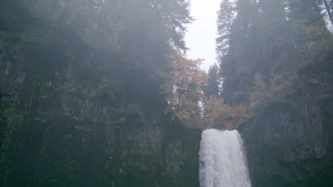 Oregon Forest Stock Footage 200856877