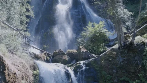 Oregon Forest Stock Footage 200860354