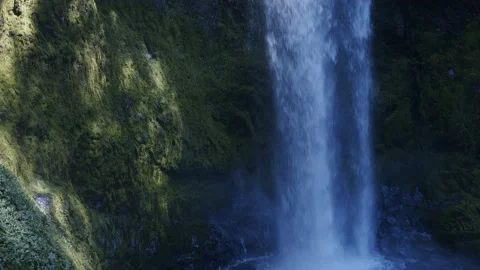 Oregon Forest Stock Footage 200860363