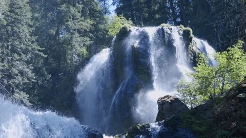 Oregon Forest Stock Footage 200860557